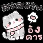 แมวมาร์คัส V.3 : HNY