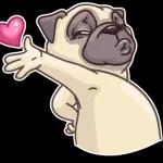 I love you