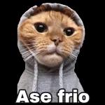 Me partiste el corazon