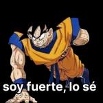 dragón ball z