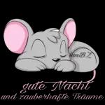 Gute Nacht bis Morgen💖