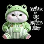 ข้าวต้ม ชุดกบ หน้าบูด