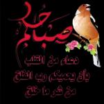ملصقات 