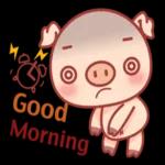 豬豬 the pig