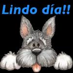 buenas noches