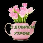 Альбина Багаева