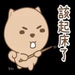 Q狗勾嗚福   龍年有福