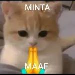 MINTA MAAF