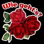Bleib gesund🌹