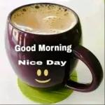 No No I don’t like it ❌