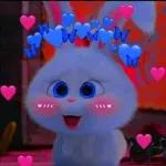 amorcito 