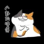 肥貓躺躺(上班鳥事)