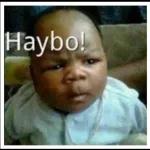 Haybo!