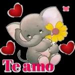 rosas