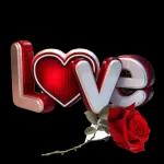 انت حبيب
لوحـي