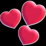 💐 שבת שלום 💐