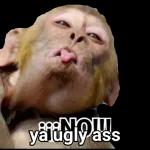 ya ugly ass