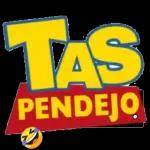 TAS PENDEJO →