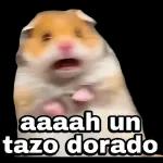                             🚔 Tazos dorados 🚨 MemesTOP STICKERS
