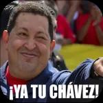 Steck Stock Stack Tin T invito a chuparmel pito