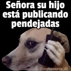 Sefiora su hijo está publicando pendejadas @paraguayita_01 - getsticker.com