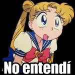 No entendí