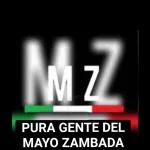 EQUIPO 08 CJNG EQUIPO N PANTERAS N