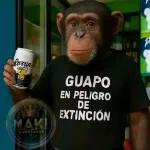 Excelente y Bendecido Día