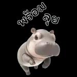 ฮิปโปรักดึงดงบิ๊ก