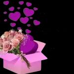 مربى يجعل ايامك كلها سعادة 