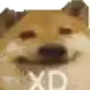 2BNkZf