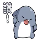 小鲨鱼鲨西米pack