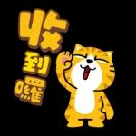 貓爪抓 -名人堂‧實在好抓-