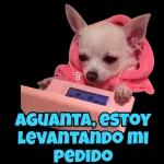 THIS LOVERTHE MOTYA FUE