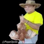 Steck Stock Stack Tin T invito a chuparmel pito