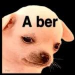 perrito
