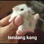 tu soalan ke cemburu