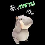 ฮิปโปรักดึงดงบิ๊ก