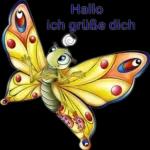 Witzig ihr wieder alle seid News Honey's Einfach später darüber lachen ich werde!