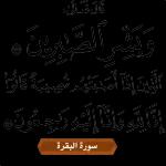 ابو محمود