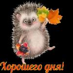 Доброе утро 