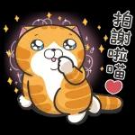 白爛貓11☆超級萌☆