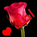 Mis Dior EAU DE TOILETTE