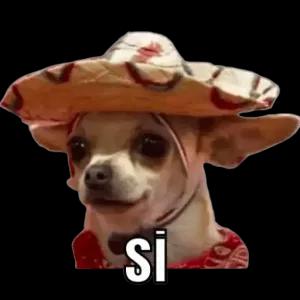 lgzql5m