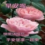 清晨美好，早安您好！