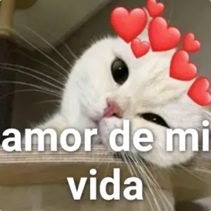 rkBWFm