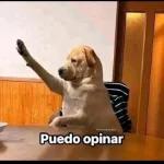 Fría como el viento