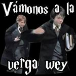 Bralen SERA CIERTO?