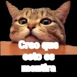 memes