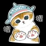 鯊魚貓咪 2